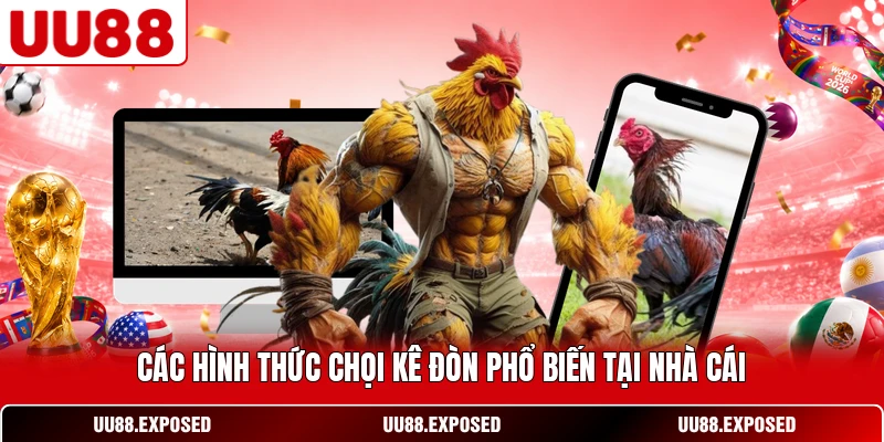 Các hình thức đá gà được nhắc đến trong nội dung giới thiệu