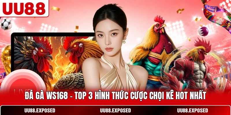 Đá gà WS168 - Top 3 hình thức cược chọi kê hot nhất
