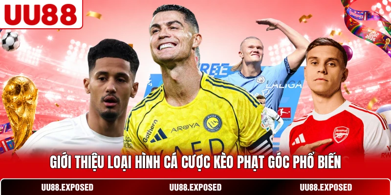 Giới thiệu loại hình cá cược kèo phạt góc phổ biến