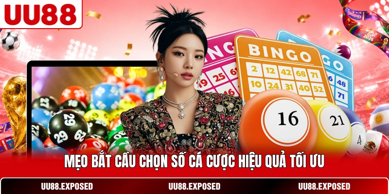 Mẹo bắt cầu chọn số cá cược hiệu quả tối ưu