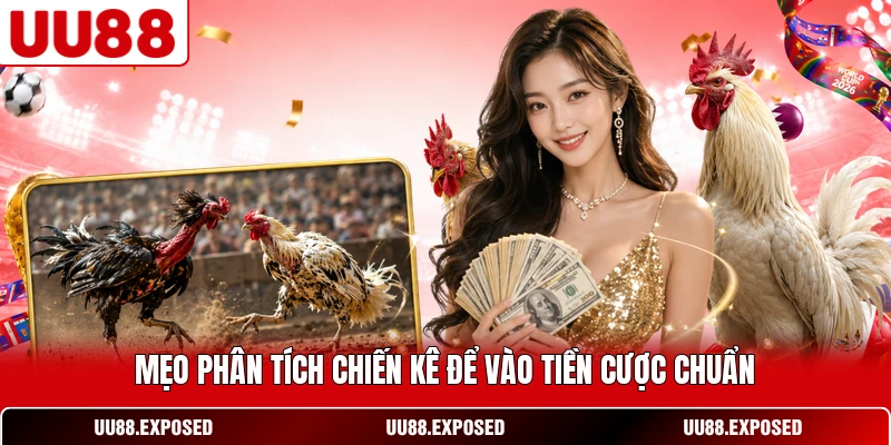 Các yếu tố quan sát và phân tích chiến kê trong đá gà đòn