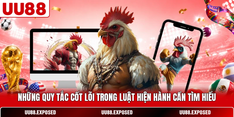 Những quy tắc cốt lõi trong luật đá gà cựa sắt cần tìm hiểu