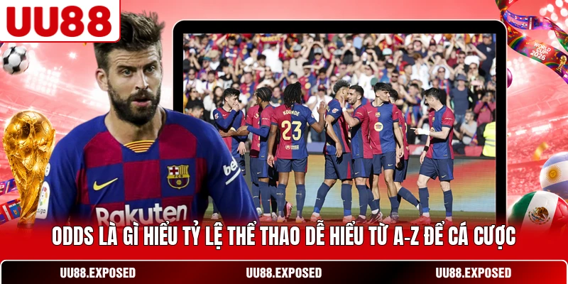 Odds là gì - Hiểu tỷ lệ thể thao từ A-Z