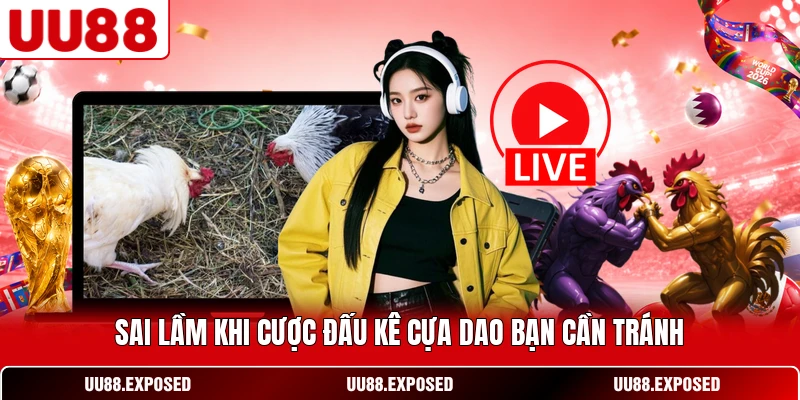 Sai lầm cần tránh khi tìm hiểu và tham gia cá cược đá gà cựa dao