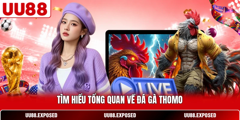 Tìm hiểu tổng quan về đá gà Thomo