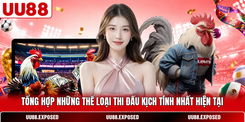 Tổng hợp những thể loại thi đấu đá gà hiện nay